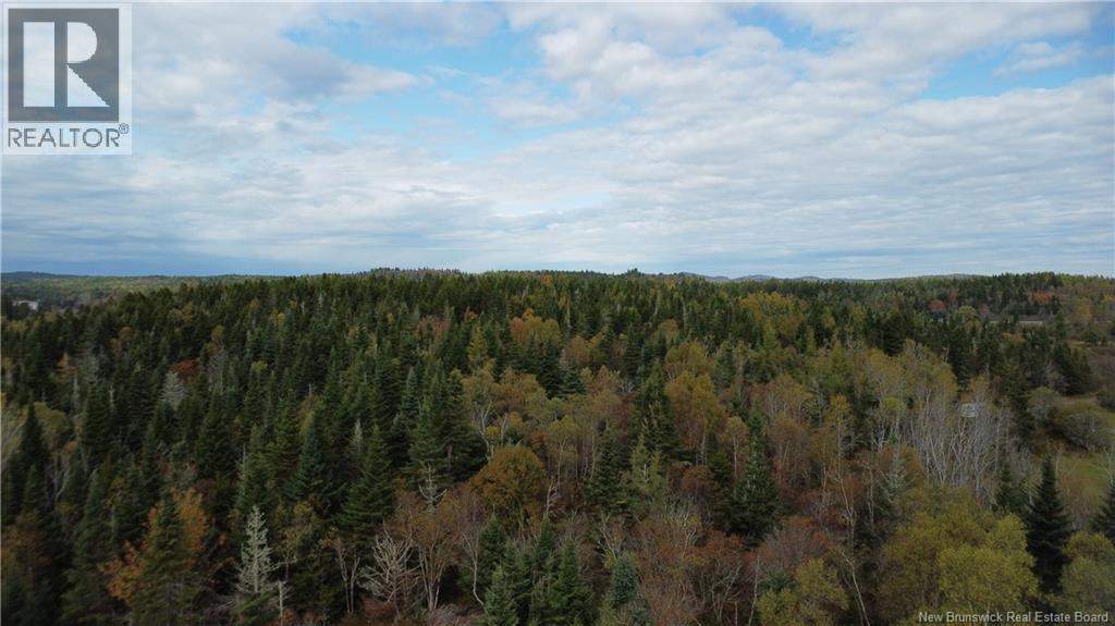 Lot Sam Hatt Road, Letang, New Brunswick  E5C 1Z9 - Photo 7 - NB127779