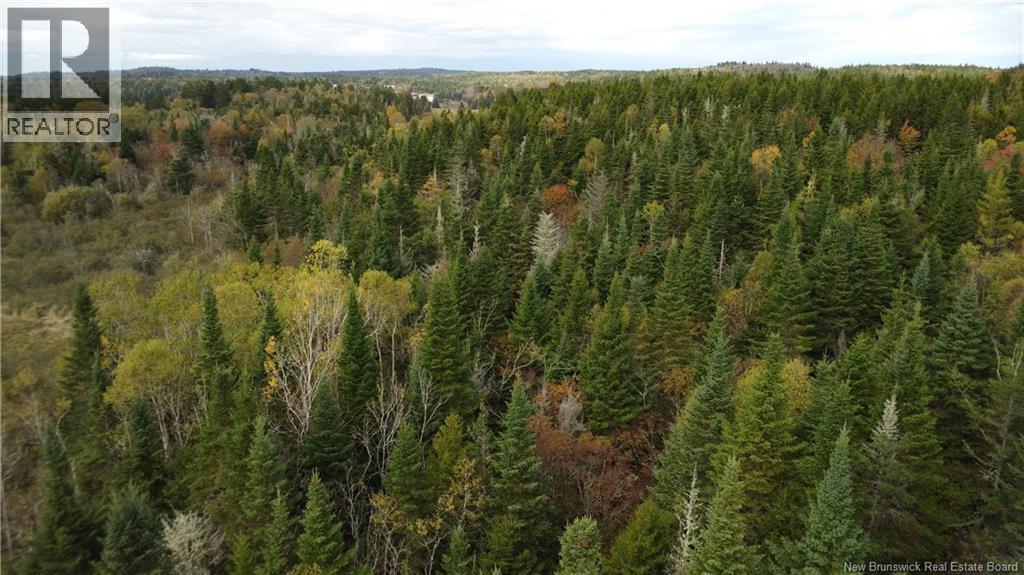 Lot Sam Hatt Road, Letang, New Brunswick  E5C 1Z9 - Photo 8 - NB127779