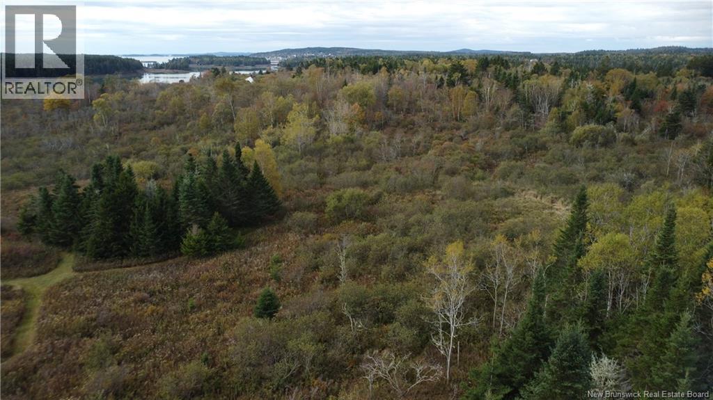 Lot Sam Hatt Road, Letang, New Brunswick  E5C 1Z9 - Photo 9 - NB127779
