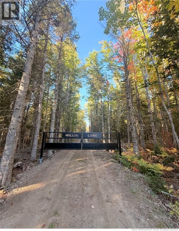 731 Pointe Aux Carr Road, Napan, New Brunswick E1N 4X8 - Photo 2 - NB128134