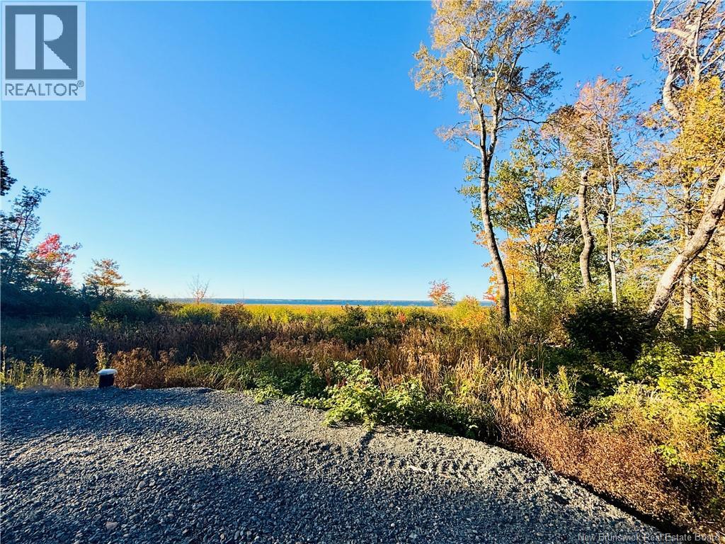 731 Pointe Aux Carr Road, Napan, New Brunswick E1N 4X8 - Photo 4 - NB128134