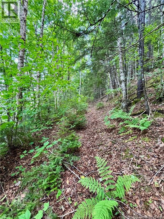 241 Route 107, Nashwaak Bridge, New Brunswick  E6C 2G3 - Photo 10 - NB128272