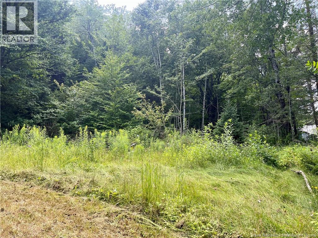 241 Route 107, Nashwaak Bridge, New Brunswick  E6C 2G3 - Photo 18 - NB128272