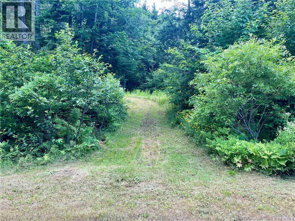 241 Route 107, Nashwaak Bridge, New Brunswick  E6C 2G3 - Photo 19 - NB128272