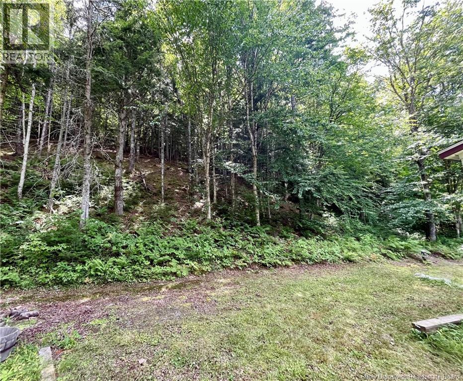 241 Route 107, Nashwaak Bridge, New Brunswick  E6C 2G3 - Photo 20 - NB128272
