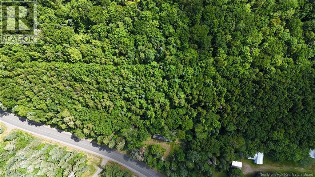 241 Route 107, Nashwaak Bridge, New Brunswick  E6C 2G3 - Photo 23 - NB128272