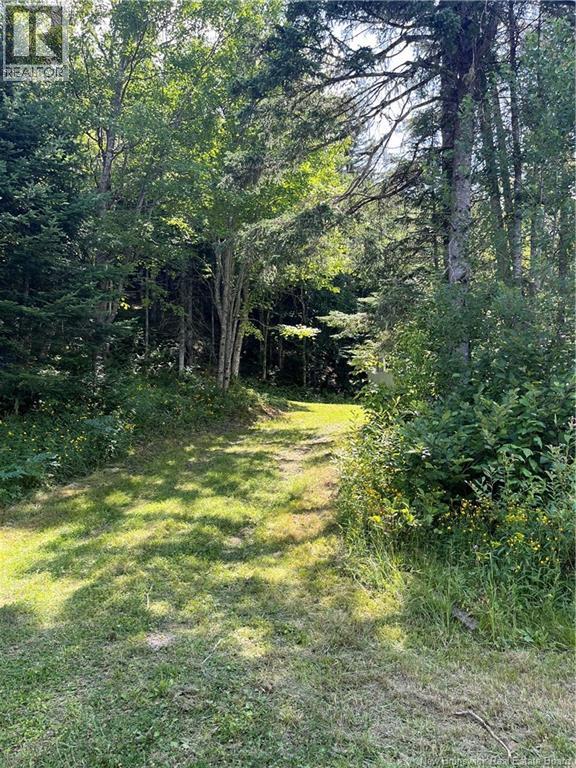 241 Route 107, Nashwaak Bridge, New Brunswick  E6C 2G3 - Photo 7 - NB128272