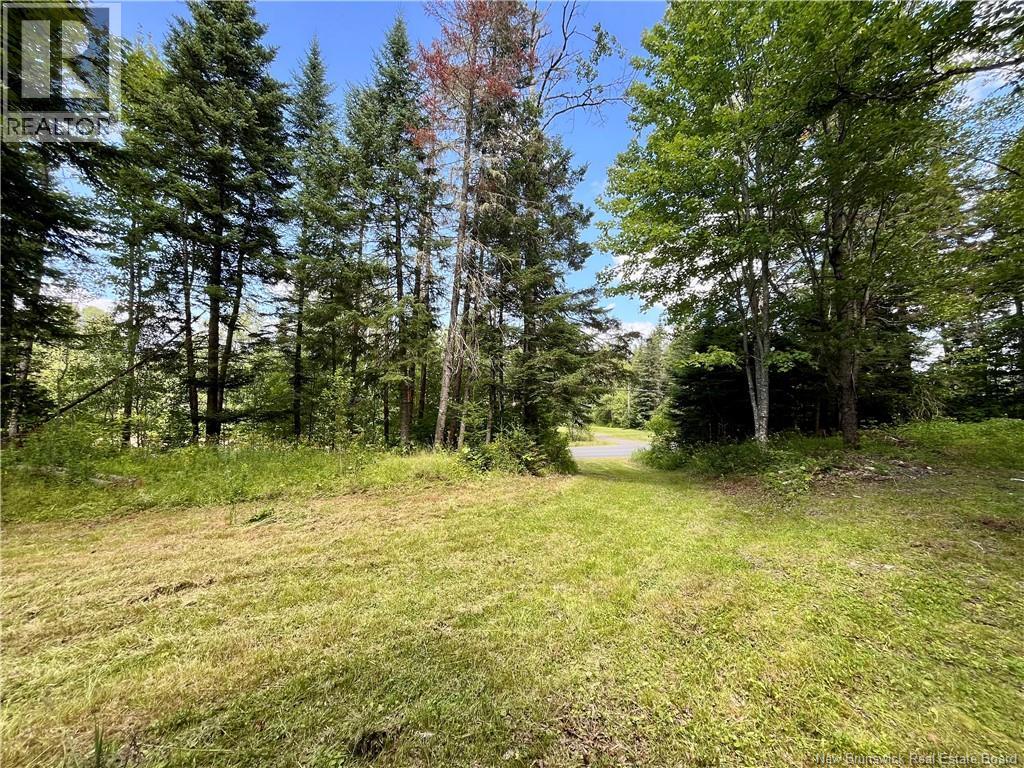 241 Route 107, Nashwaak Bridge, New Brunswick  E6C 2G3 - Photo 8 - NB128272