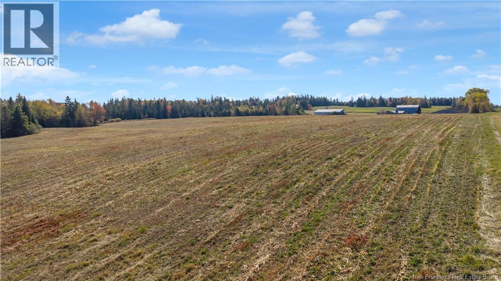 259 Smith Road, Pearsonville, New Brunswick E5P 1T5 - Photo 44 - NB128308