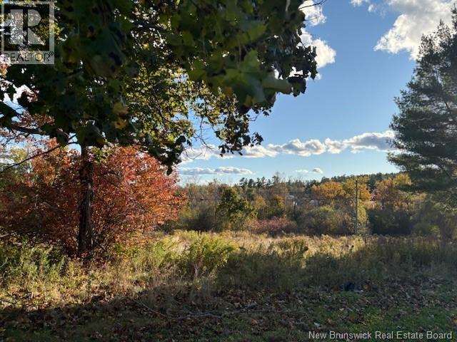 0 Elm Park, St. Stephen, New Brunswick E3L 2W7 - Photo 2 - NB128315