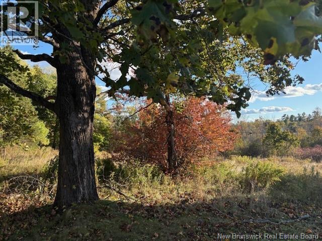 0 Elm Park, St. Stephen, New Brunswick E3L 2W7 - Photo 3 - NB128315