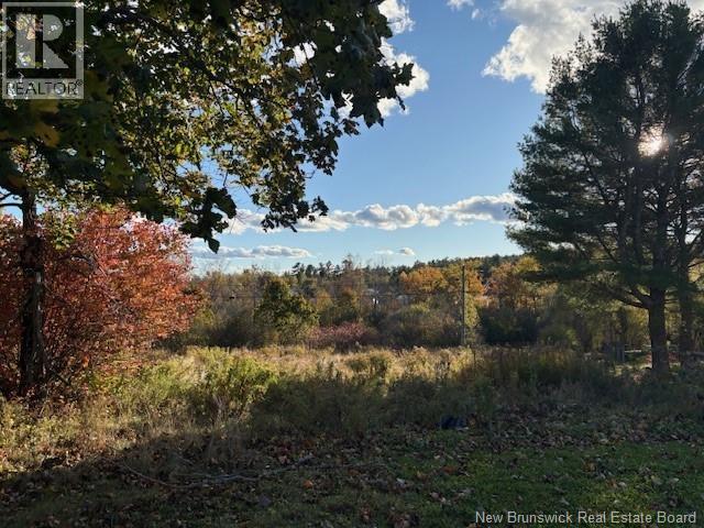 0 Elm Park, St. Stephen, New Brunswick E3L 2W7 - Photo 5 - NB128315