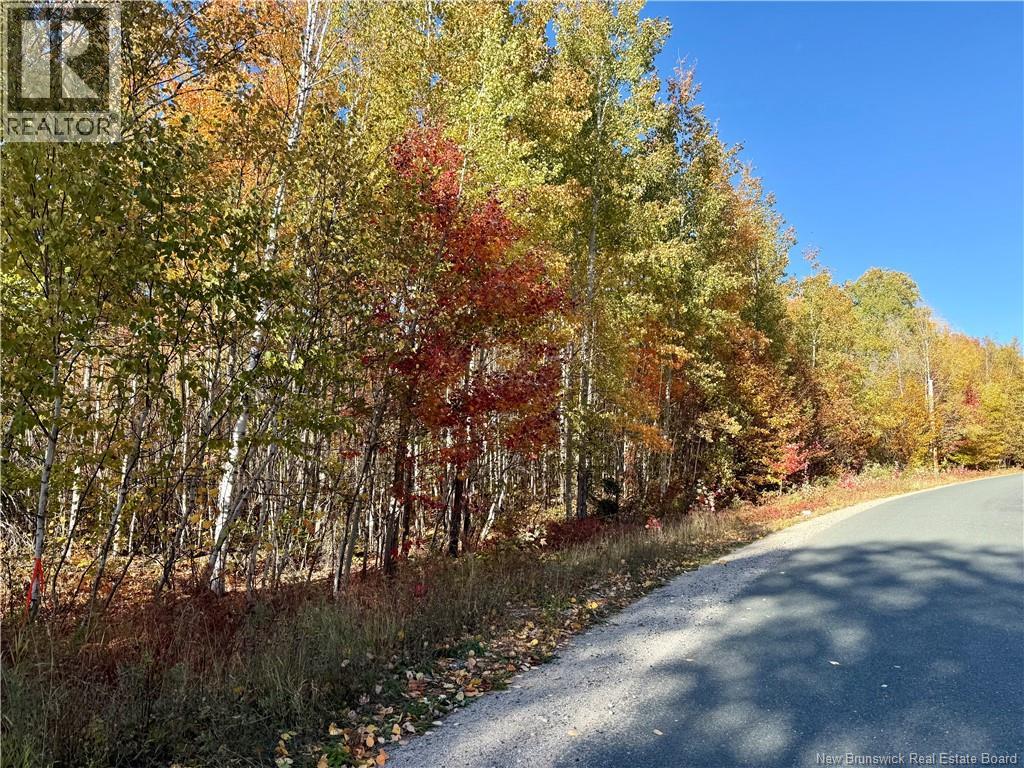 Lot 96-1 Hilltop Road, Hilltop, New Brunswick