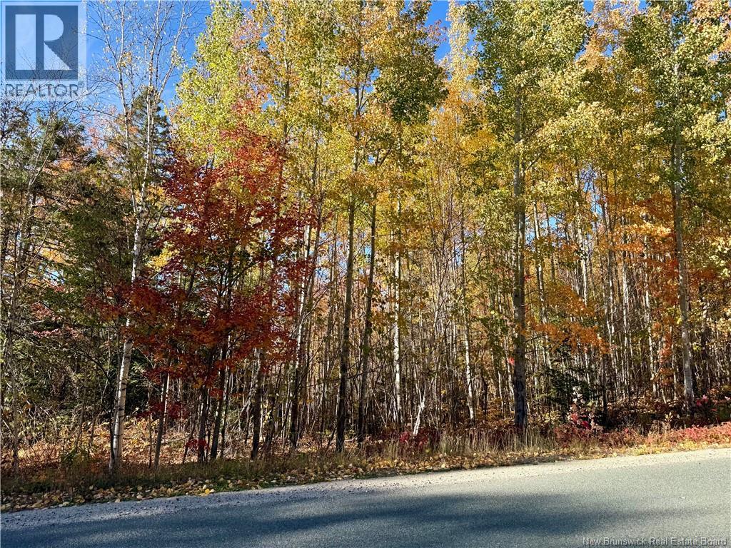 Lot 96-1 Hilltop Road, Hilltop, New Brunswick  E9E 1R9 - Photo 2 - NB128330