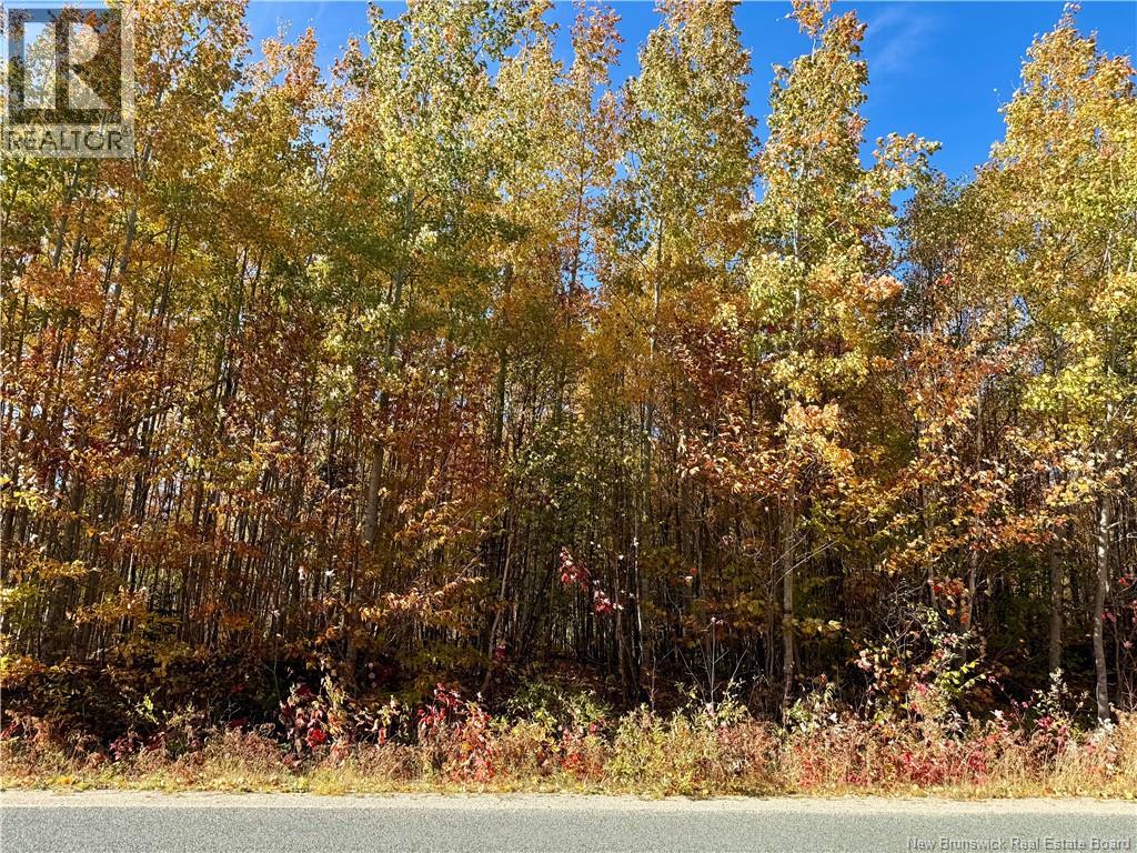 Lot 96-1 Hilltop Road, Hilltop, New Brunswick  E9E 1R9 - Photo 3 - NB128330