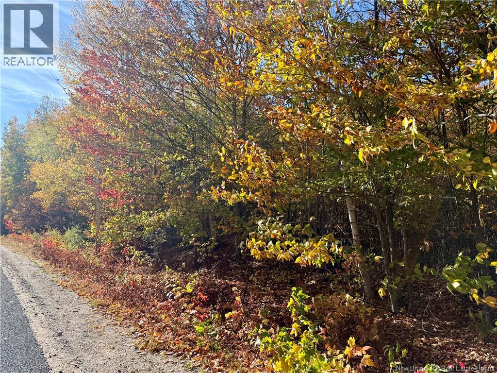 Lot 96-1 Hilltop Road, Hilltop, New Brunswick  E9E 1R9 - Photo 4 - NB128330