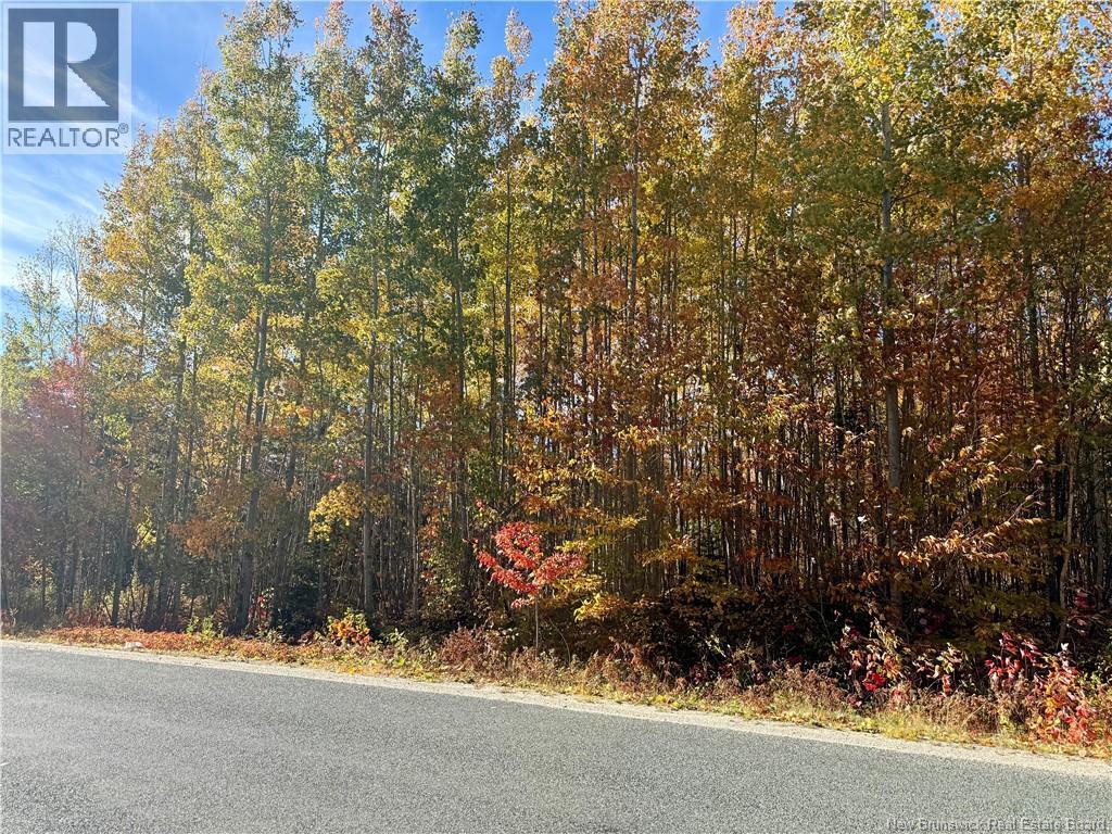 Lot 96-1 Hilltop Road, Hilltop, New Brunswick  E9E 1R9 - Photo 5 - NB128330