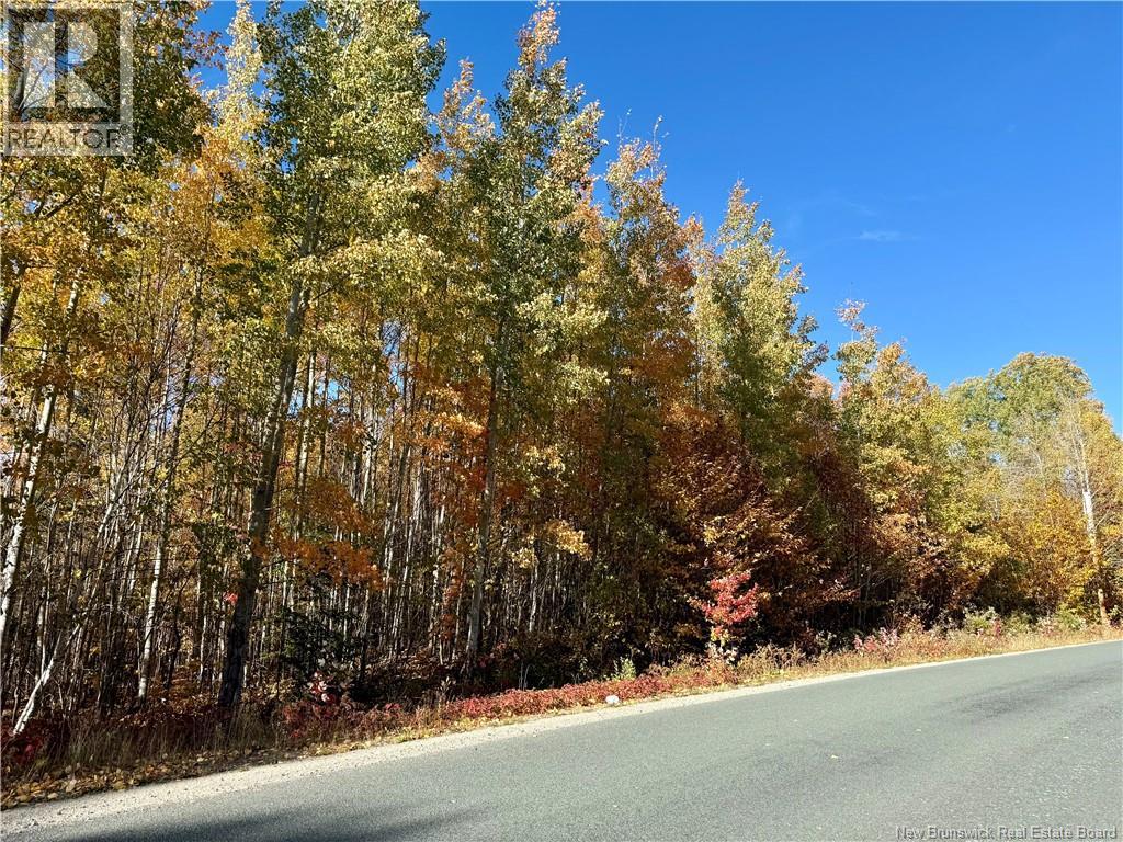 Lot 96-1 Hilltop Road, Hilltop, New Brunswick  E9E 1R9 - Photo 6 - NB128330