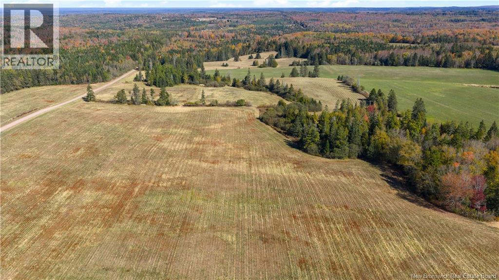 259 Smith Road, Pearsonville, New Brunswick  E5P 1T5 - Photo 46 - NB128351