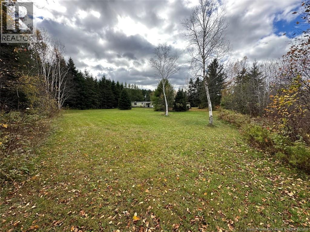 13 Baker Street, Baker Brook, New Brunswick  E8A 1T2 - Photo 1 - NB128202