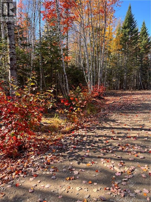 Lot Bells Mills Road, Richibucto-Village, New Brunswick E4W 1B8 - Photo 11 - NB128322