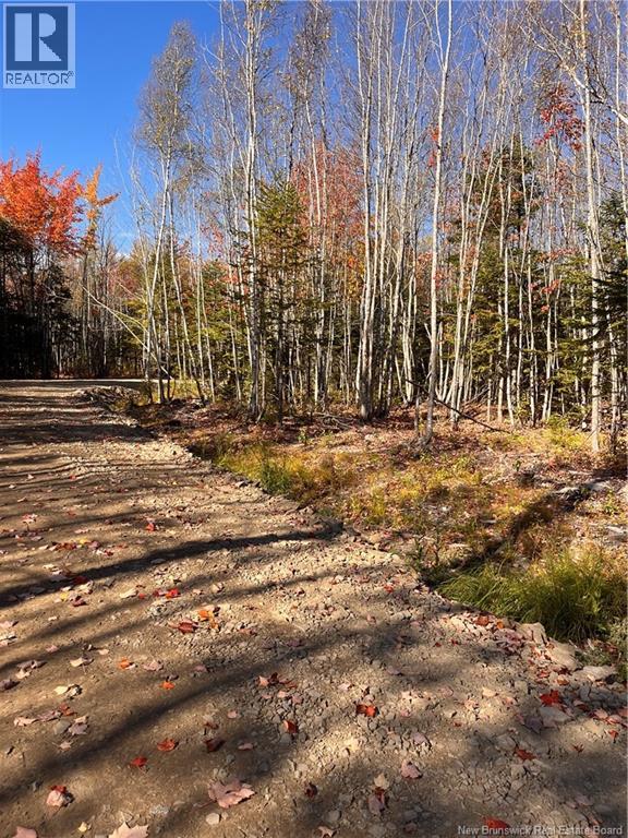 Lot Bells Mills Road, Richibucto-Village, New Brunswick E4W 1B8 - Photo 12 - NB128322