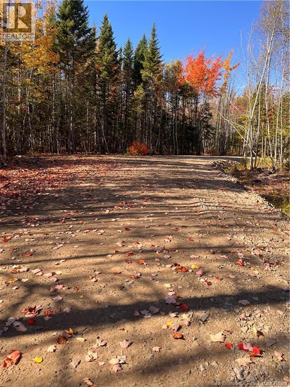 Lot Bells Mills Road, Richibucto-Village, New Brunswick E4W 1B8 - Photo 13 - NB128322