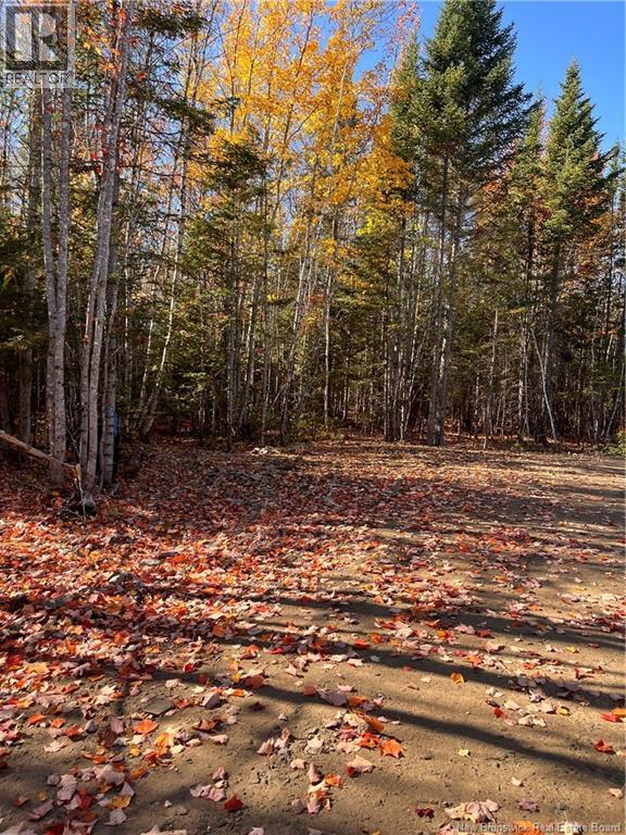 Lot Bells Mills Road, Richibucto-Village, New Brunswick E4W 1B8 - Photo 14 - NB128322