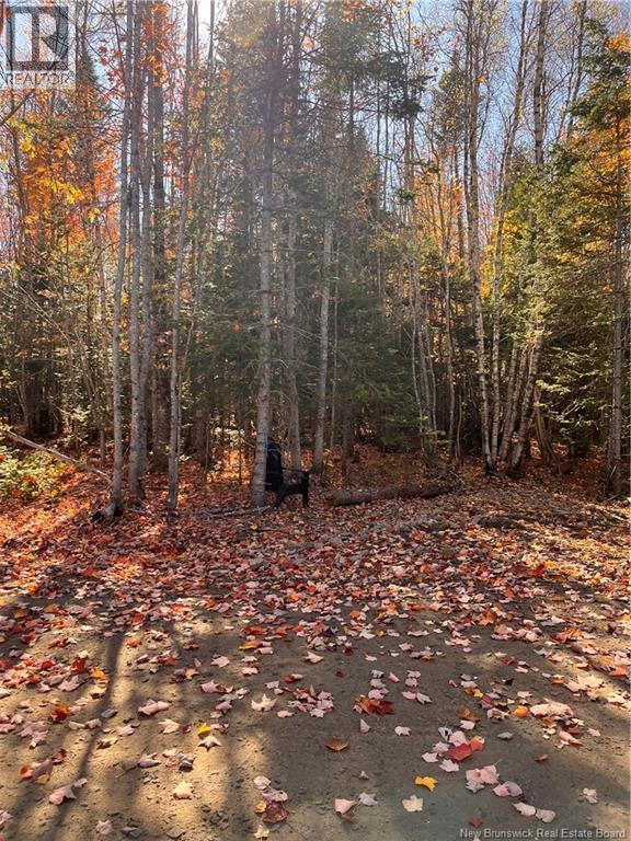 Lot Bells Mills Road, Richibucto-Village, New Brunswick E4W 1B8 - Photo 15 - NB128322