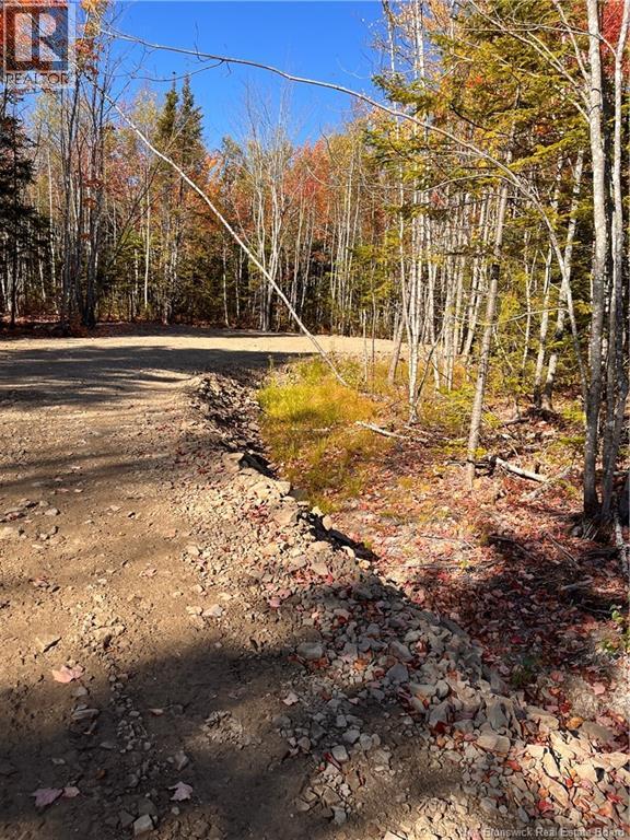 Lot Bells Mills Road, Richibucto-Village, New Brunswick E4W 1B8 - Photo 16 - NB128322