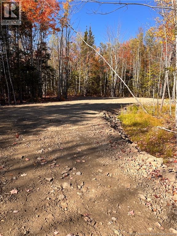 Lot Bells Mills Road, Richibucto-Village, New Brunswick E4W 1B8 - Photo 17 - NB128322
