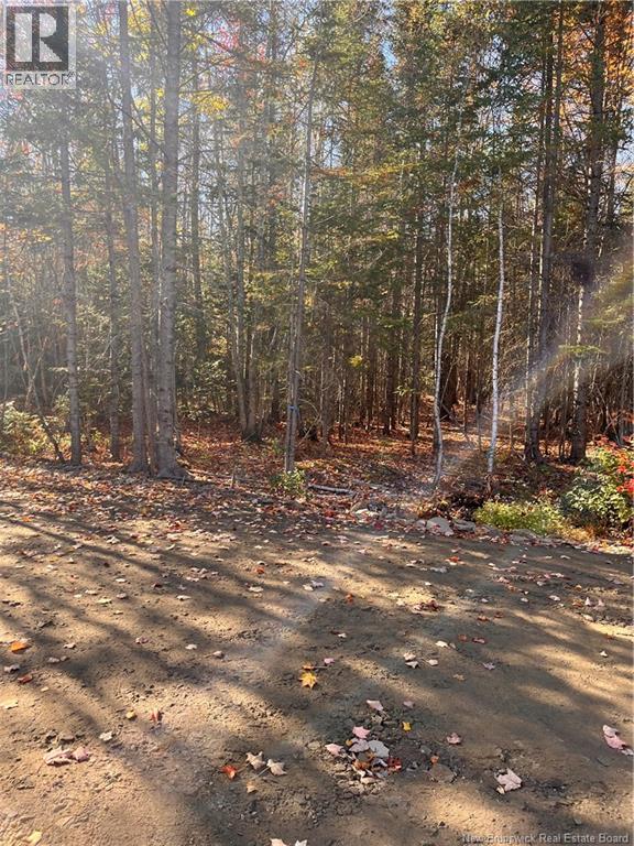 Lot Bells Mills Road, Richibucto-Village, New Brunswick E4W 1B8 - Photo 18 - NB128322