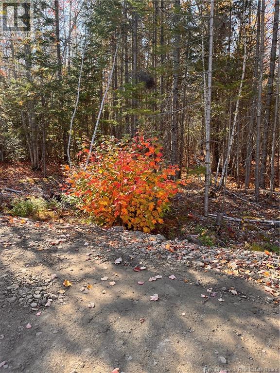 Lot Bells Mills Road, Richibucto-Village, New Brunswick E4W 1B8 - Photo 19 - NB128322