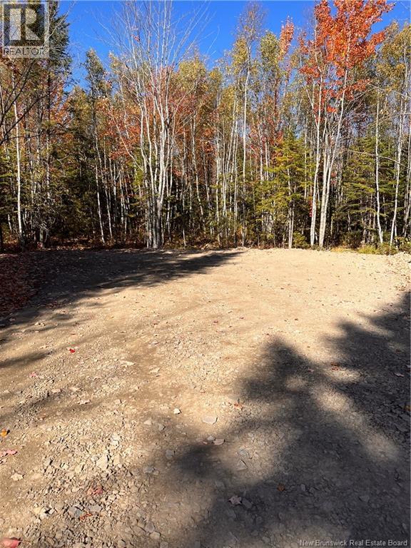 Lot Bells Mills Road, Richibucto-Village, New Brunswick E4W 1B8 - Photo 20 - NB128322