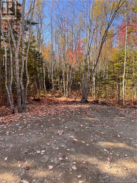 Lot Bells Mills Road, Richibucto-Village, New Brunswick E4W 1B8 - Photo 21 - NB128322