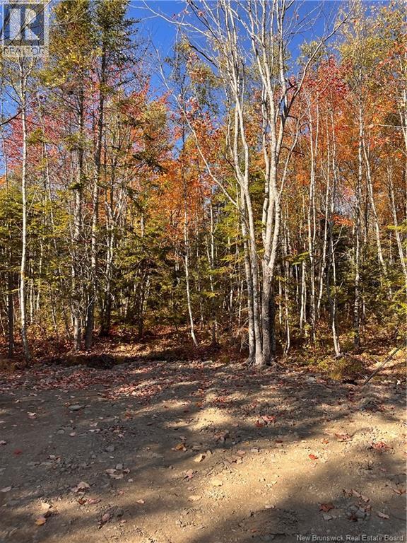Lot Bells Mills Road, Richibucto-Village, New Brunswick E4W 1B8 - Photo 22 - NB128322