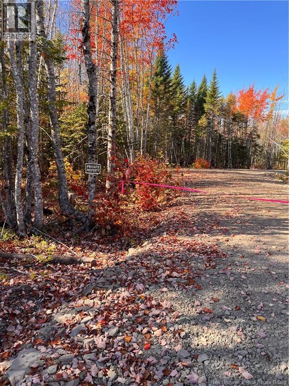 Lot Bells Mills Road, Richibucto-Village, New Brunswick E4W 1B8 - Photo 3 - NB128322