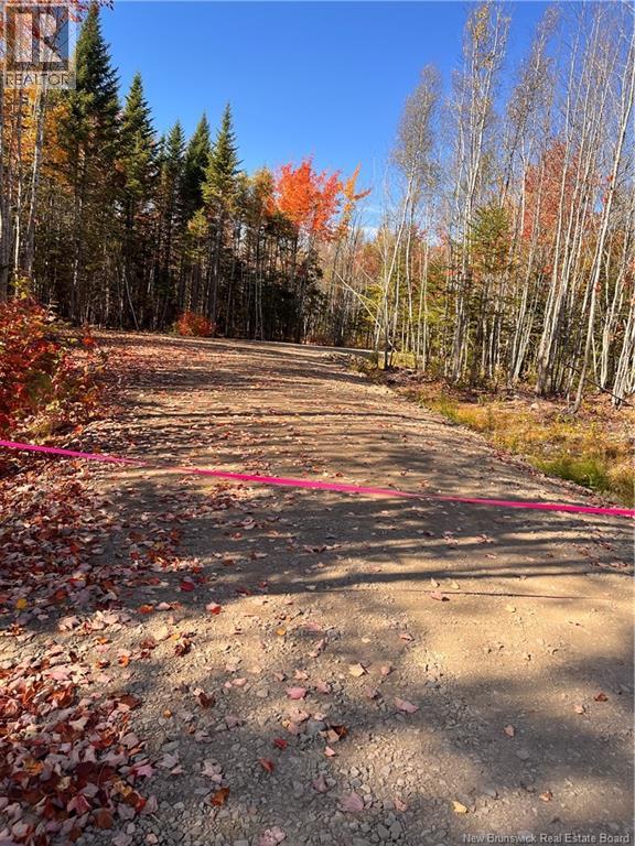 Lot Bells Mills Road, Richibucto-Village, New Brunswick E4W 1B8 - Photo 4 - NB128322