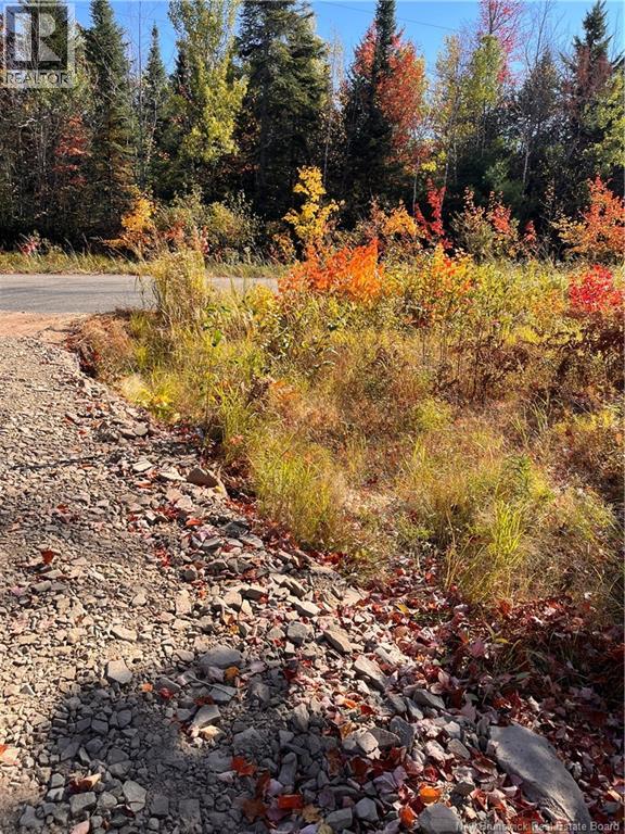 Lot Bells Mills Road, Richibucto-Village, New Brunswick E4W 1B8 - Photo 5 - NB128322