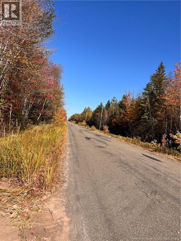 Lot Bells Mills Road, Richibucto-Village, New Brunswick E4W 1B8 - Photo 6 - NB128322