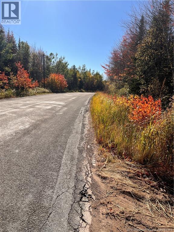 Lot Bells Mills Road, Richibucto-Village, New Brunswick E4W 1B8 - Photo 7 - NB128322