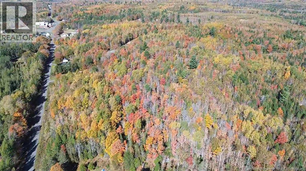 33 Dorrington Hill Road, Canterbury, New Brunswick E6G 1Y9 - Photo 3 - NB128450