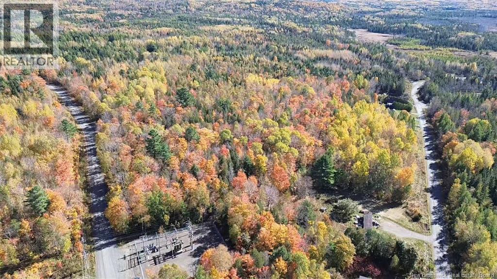 33 Dorrington Hill Road, Canterbury, New Brunswick E6G 1Y9 - Photo 4 - NB128450