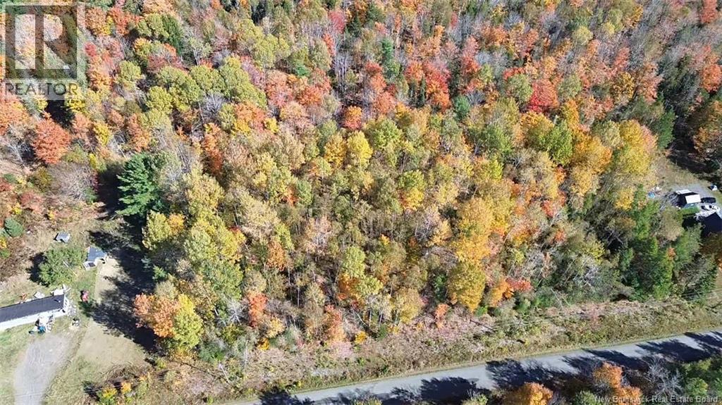 33 Dorrington Hill Road, Canterbury, New Brunswick E6G 1Y9 - Photo 5 - NB128450