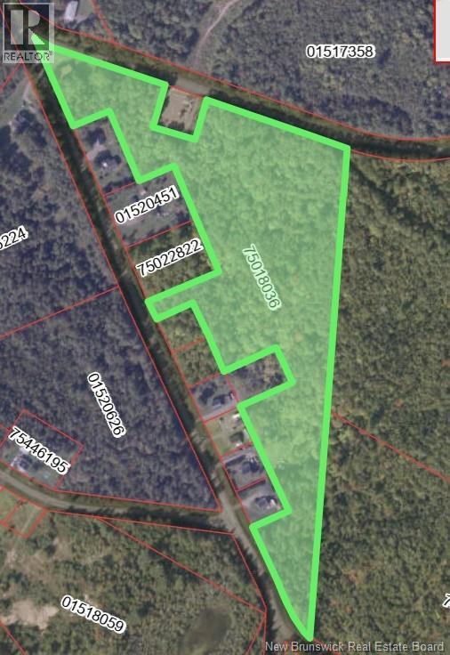 33 Dorrington Hill Road, Canterbury, New Brunswick E6G 1Y9 - Photo 6 - NB128450