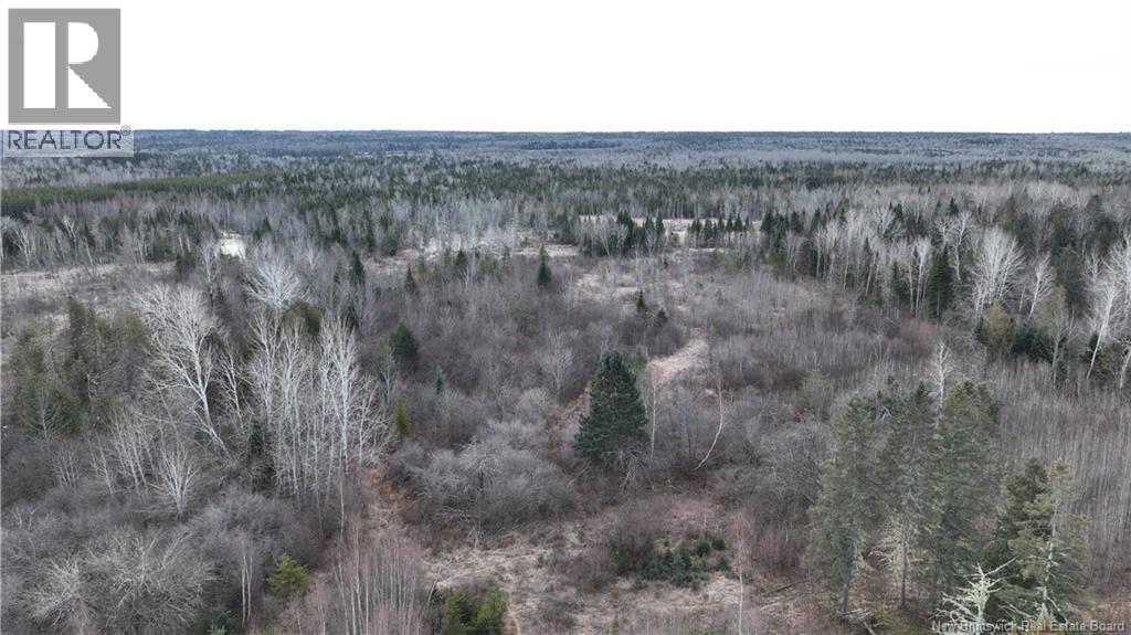 Indian Gardens Road, South Esk, New Brunswick  E9E 1S9 - Photo 10 - NB128492