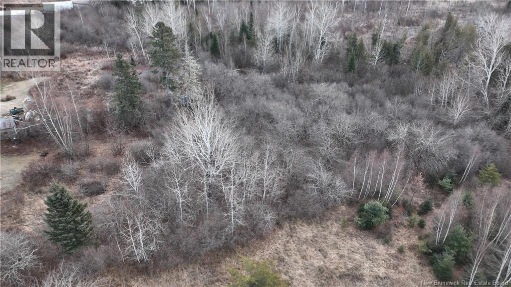 Indian Gardens Road, South Esk, New Brunswick  E9E 1S9 - Photo 11 - NB128492