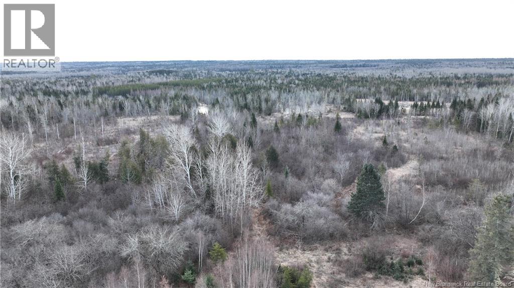 Indian Gardens Road, South Esk, New Brunswick  E9E 1S9 - Photo 7 - NB128492