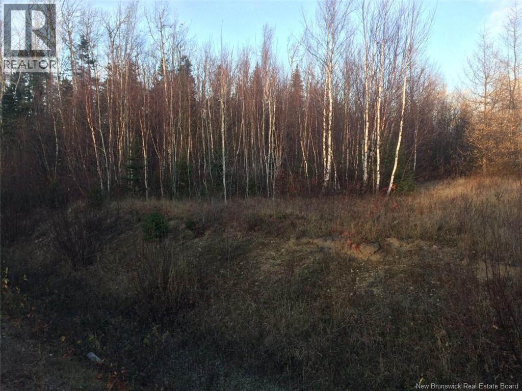 9,110 Mc Rue Honoré, Tracadie, New Brunswick  E1X 1A6 - Photo 5 - NB128564