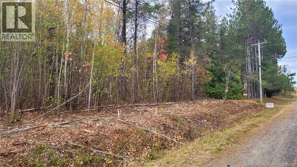 0 Rte 118, South Nelson, New Brunswick  E1N 6C7 - Photo 3 - NB128343